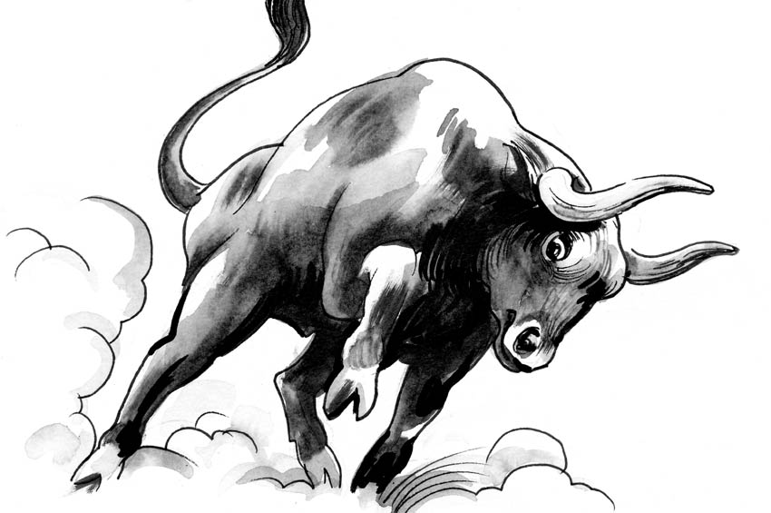 Stier
